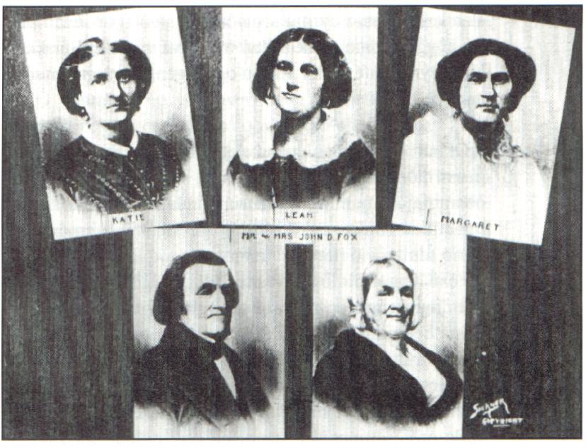 fox-mynd.jpeg - 88668 Bytes