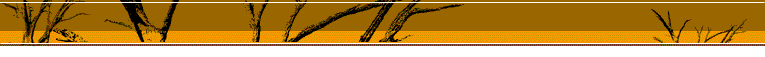 sand_title.gif - 4804 Bytes